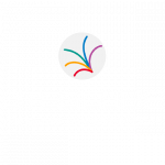 partner oteglobe