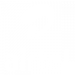 partner airtel